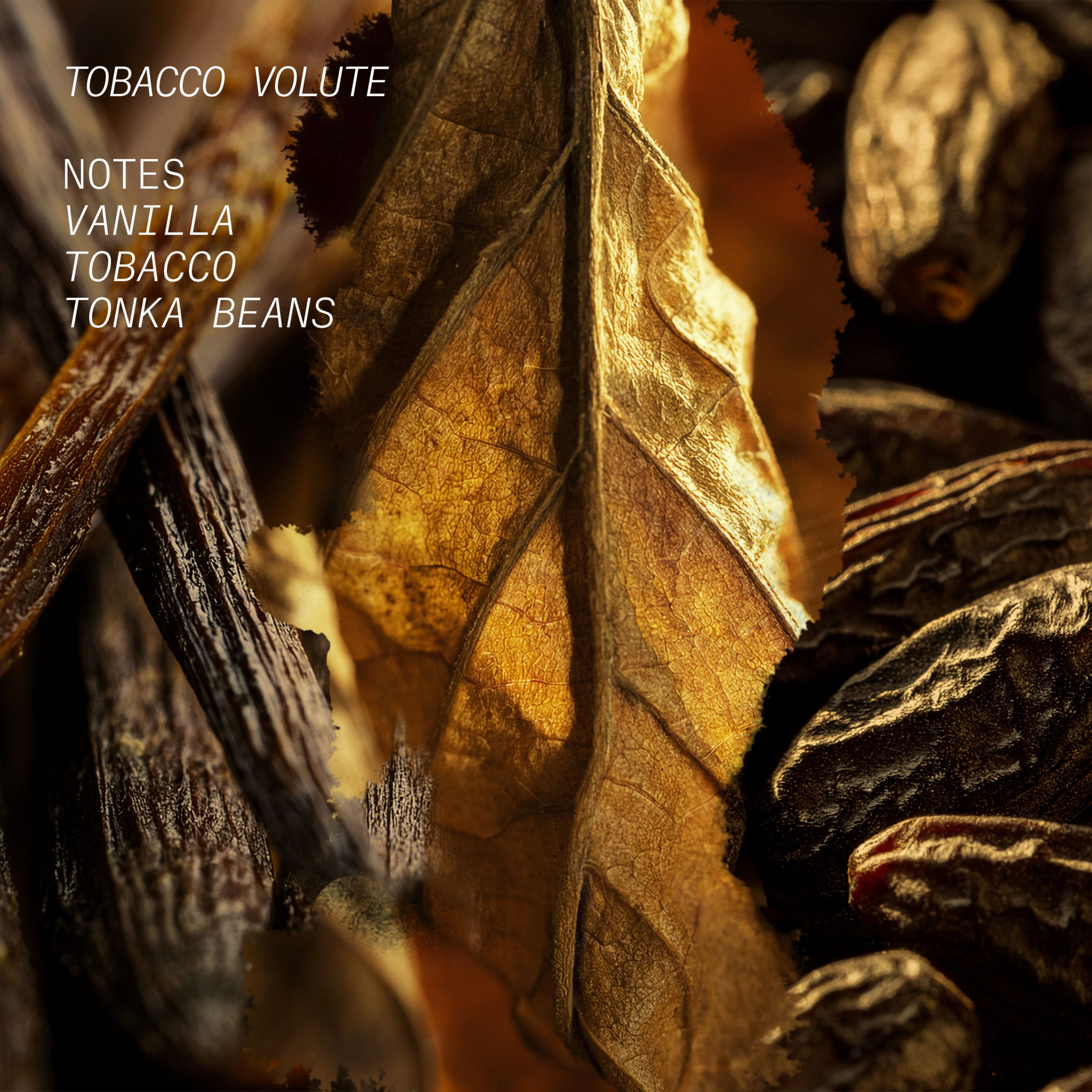 TOBACCO VOLUTE HAIR MIST-1