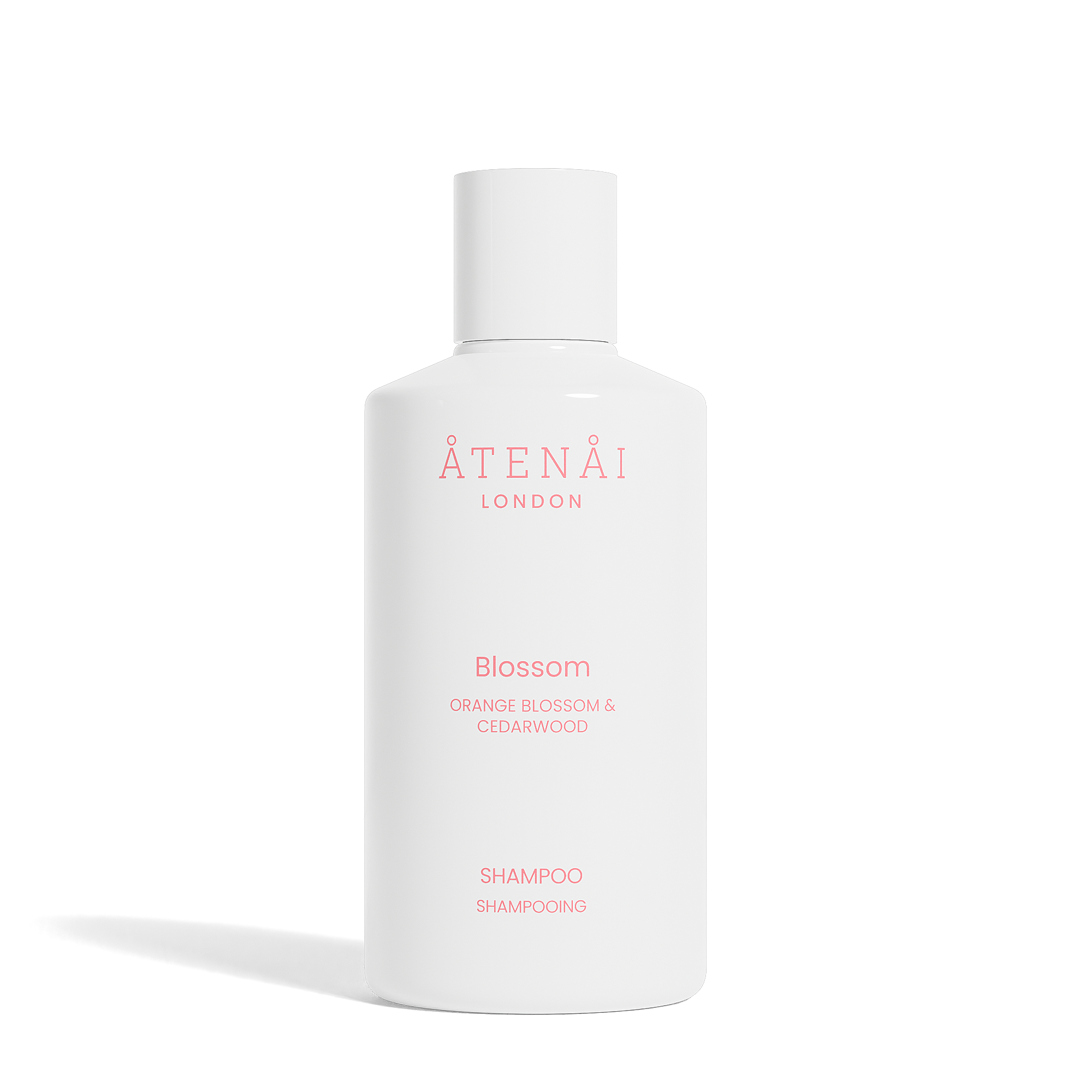 Blossom Hair Duo Set-4